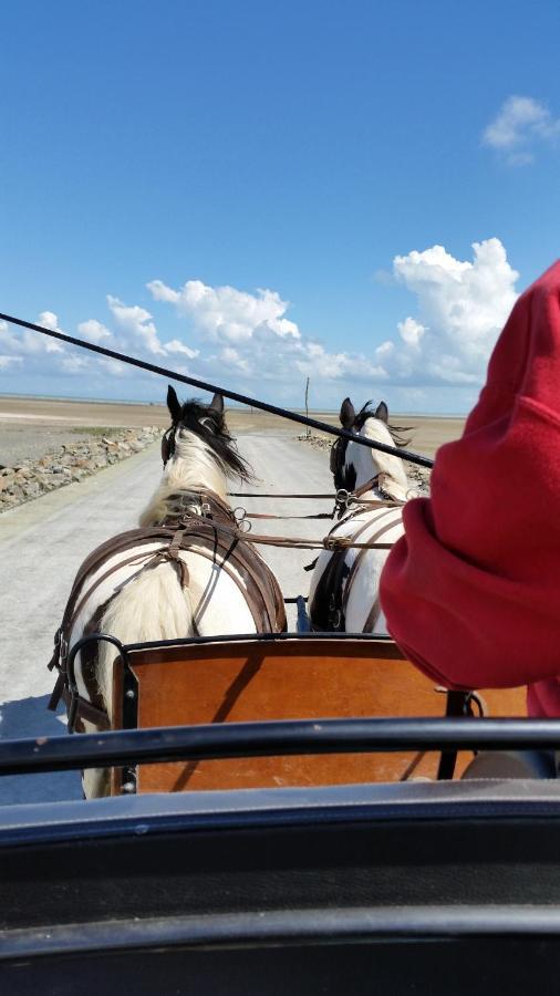Les Chevaux De L'Hippocampe Ξενοδοχείο Mont-Dol Εξωτερικό φωτογραφία