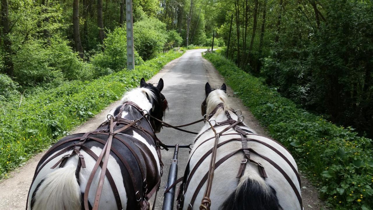Les Chevaux De L'Hippocampe Ξενοδοχείο Mont-Dol Εξωτερικό φωτογραφία
